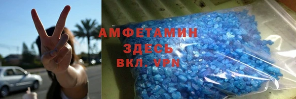 гидра Вяземский