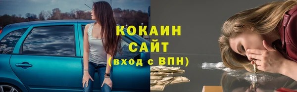 гидра Вяземский