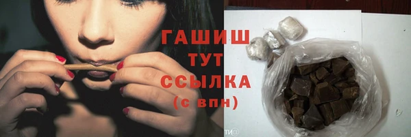 гидра Вяземский