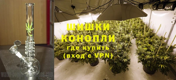 spice Горняк