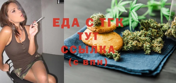 гидра Вяземский