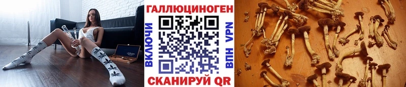 Псилоцибиновые грибы мухоморы  закладки  Гатчина 